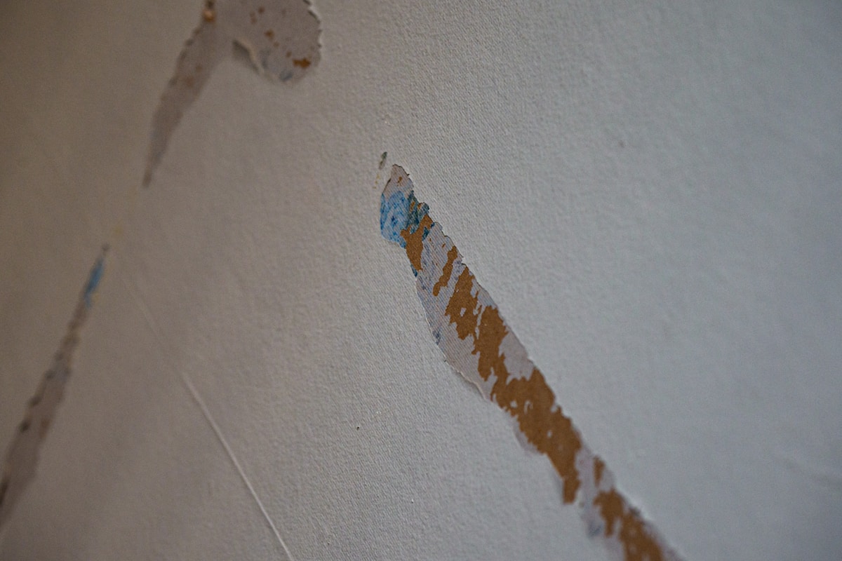 Mold Remediation service in Cypress, CA